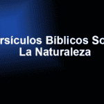 Versículos Bíblicos Sobre La Naturaleza