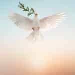 La Necesidad Del Espíritu Santo Para El Crecimiento Interno Y Externo De La Iglesia